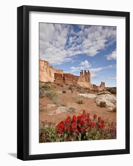 The Three Gossips and Common Paintbrush (Castilleja Chromosa), Arches National Park, Utah, USA-James Hager-Framed Photographic Print