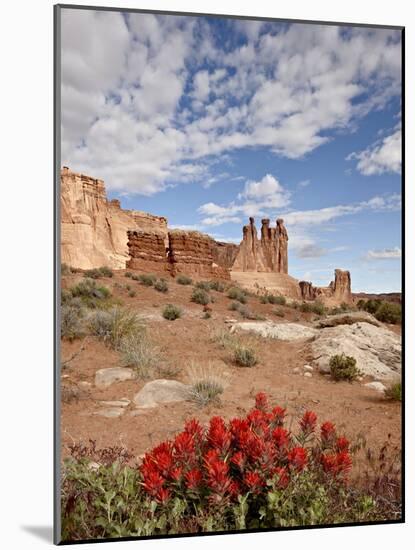 The Three Gossips and Common Paintbrush (Castilleja Chromosa), Arches National Park, Utah, USA-James Hager-Mounted Photographic Print