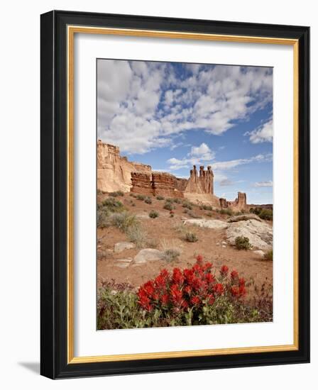 The Three Gossips and Common Paintbrush (Castilleja Chromosa), Arches National Park, Utah, USA-James Hager-Framed Photographic Print