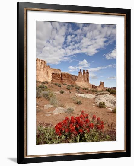 The Three Gossips and Common Paintbrush (Castilleja Chromosa), Arches National Park, Utah, USA-James Hager-Framed Photographic Print