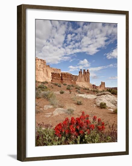 The Three Gossips and Common Paintbrush (Castilleja Chromosa), Arches National Park, Utah, USA-James Hager-Framed Photographic Print