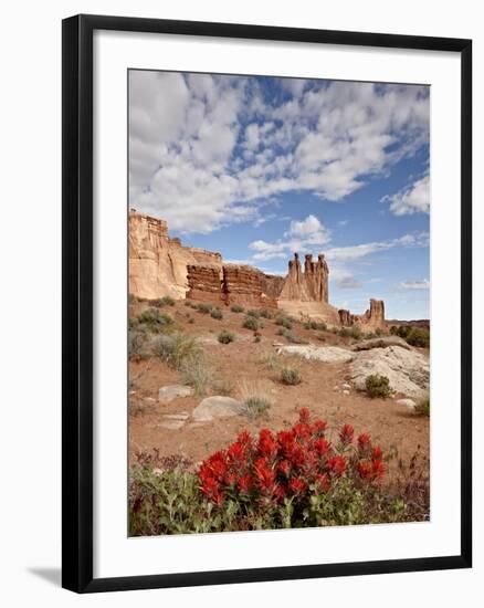 The Three Gossips and Common Paintbrush (Castilleja Chromosa), Arches National Park, Utah, USA-James Hager-Framed Photographic Print