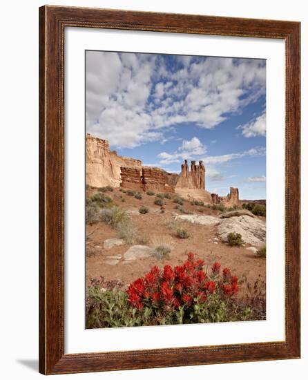 The Three Gossips and Common Paintbrush (Castilleja Chromosa), Arches National Park, Utah, USA-James Hager-Framed Photographic Print