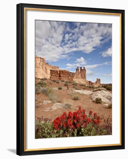 The Three Gossips and Common Paintbrush (Castilleja Chromosa), Arches National Park, Utah, USA-James Hager-Framed Photographic Print