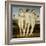 The Three Graces, C. 1502-3-Raffael-Framed Giclee Print