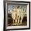 The Three Graces, C. 1502-3-Raffael-Framed Giclee Print