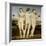 The Three Graces, C. 1502-3-Raffael-Framed Giclee Print