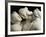 The Three Graces, c.1814-17-Antonio Canova-Framed Photographic Print