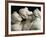 The Three Graces, c.1814-17-Antonio Canova-Framed Photographic Print