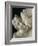 The Three Graces, c.1814-17-Antonio Canova-Framed Photographic Print