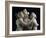 The Three Graces, c.1814-17-Antonio Canova-Framed Photographic Print