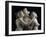 The Three Graces, c.1814-17-Antonio Canova-Framed Photographic Print