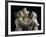 The Three Graces, c.1814-17-Antonio Canova-Framed Photographic Print