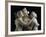 The Three Graces, c.1814-17-Antonio Canova-Framed Photographic Print