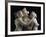 The Three Graces, c.1814-17-Antonio Canova-Framed Photographic Print