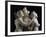 The Three Graces, c.1814-17-Antonio Canova-Framed Photographic Print