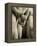 The Three Graces, Lower Part of Statue in White Marble, c.1814-17-Antonio Canova-Framed Premier Image Canvas