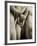 The Three Graces, Lower Part of Statue in White Marble, c.1814-17-Antonio Canova-Framed Photographic Print