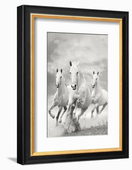 The Three Graces-null-Framed Premium Giclee Print