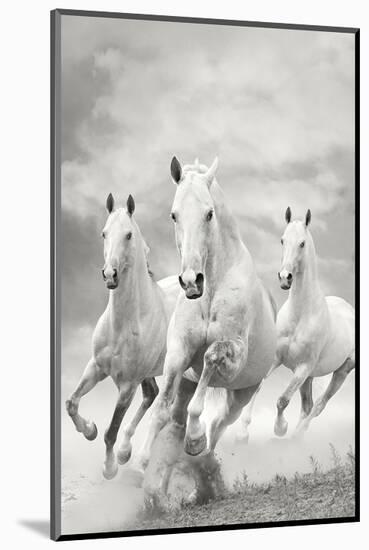 The Three Graces-null-Mounted Art Print