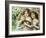 The Three Graces-Emile Vernon-Framed Giclee Print