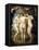 The Three Graces-Peter Paul Rubens-Framed Stretched Canvas