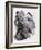 'The Three Musketeers'-John Gilbert-Framed Giclee Print