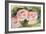 The Three Roses-Pierre-Auguste Renoir-Framed Giclee Print