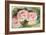 The Three Roses-Pierre-Auguste Renoir-Framed Giclee Print