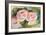 The Three Roses-Pierre-Auguste Renoir-Framed Giclee Print