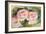 The Three Roses-Pierre-Auguste Renoir-Framed Giclee Print