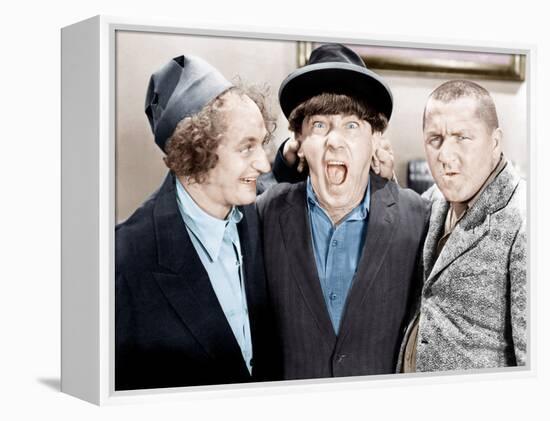 The Three Stooges, from left: Larry Fine, Moe Howard, Curly Howard, ca. 1943-null-Framed Stretched Canvas