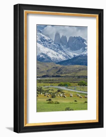 The Three Towers, Torres Del Paine National Park, Chilean Patagonia, Chile-G & M Therin-Weise-Framed Photographic Print