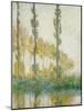 The Three Trees, Autumn, 1891-Claude Monet-Mounted Giclee Print