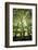 The Three Trees-Philippe Manguin-Framed Photographic Print