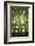 The Three Trees-Philippe Manguin-Framed Photographic Print