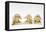 The Three Wise Monkeys-Japanese School-Framed Premier Image Canvas