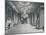 The Throne Room, Windsor Castle, c1899, (1901)-Eyre & Spottiswoode-Mounted Photographic Print