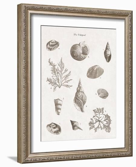 The Tidepool - Calm-The Vintage Collection-Framed Giclee Print