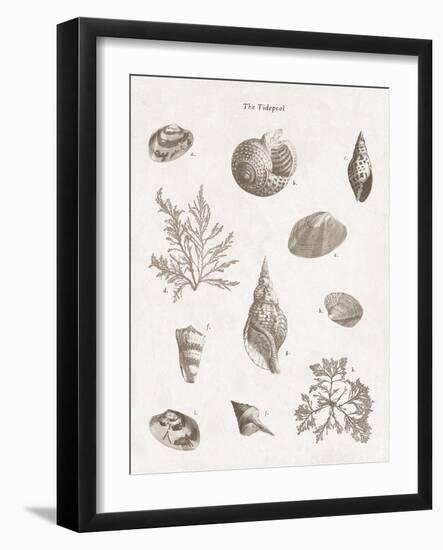 The Tidepool - Calm-The Vintage Collection-Framed Giclee Print