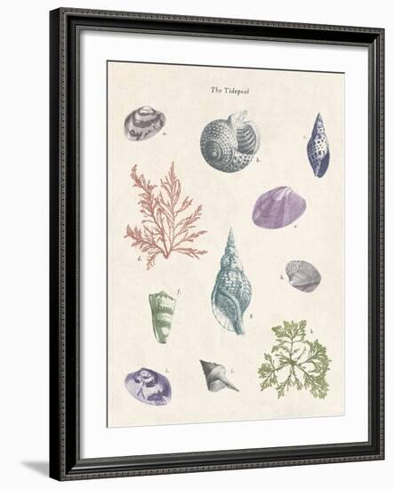 The Tidepool-The Vintage Collection-Framed Giclee Print