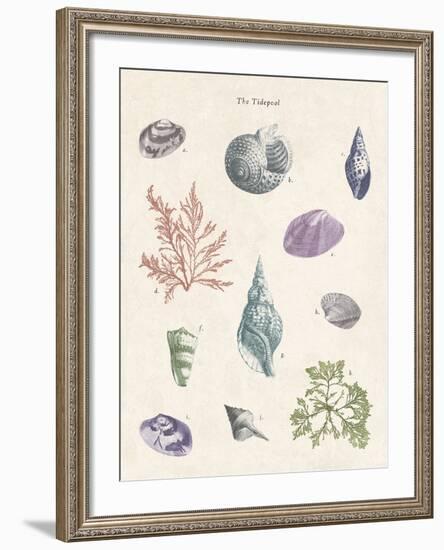 The Tidepool-The Vintage Collection-Framed Giclee Print