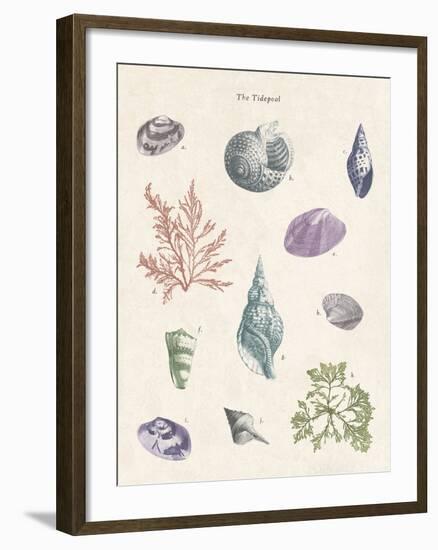 The Tidepool-The Vintage Collection-Framed Giclee Print