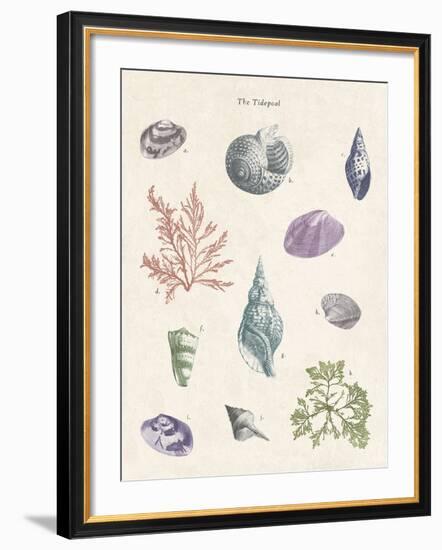 The Tidepool-The Vintage Collection-Framed Giclee Print