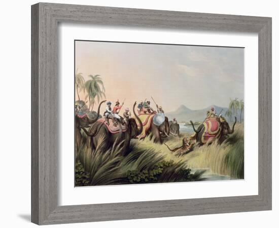 The Tiger at Bay, from "Oriental Field Sports," Published by Edward Orme, 1807-Samuel Howett-Framed Giclee Print