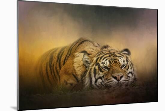 The Tiger Awakens-Jai Johnson-Mounted Giclee Print