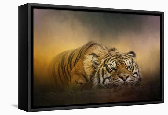 The Tiger Awakens-Jai Johnson-Framed Premier Image Canvas