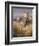 The Tiger Shoot-William Woodhouse-Framed Giclee Print