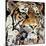 The Tiger-James Grey-Mounted Art Print