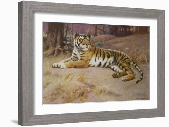 The Tiger-John Charles Dollman-Framed Giclee Print